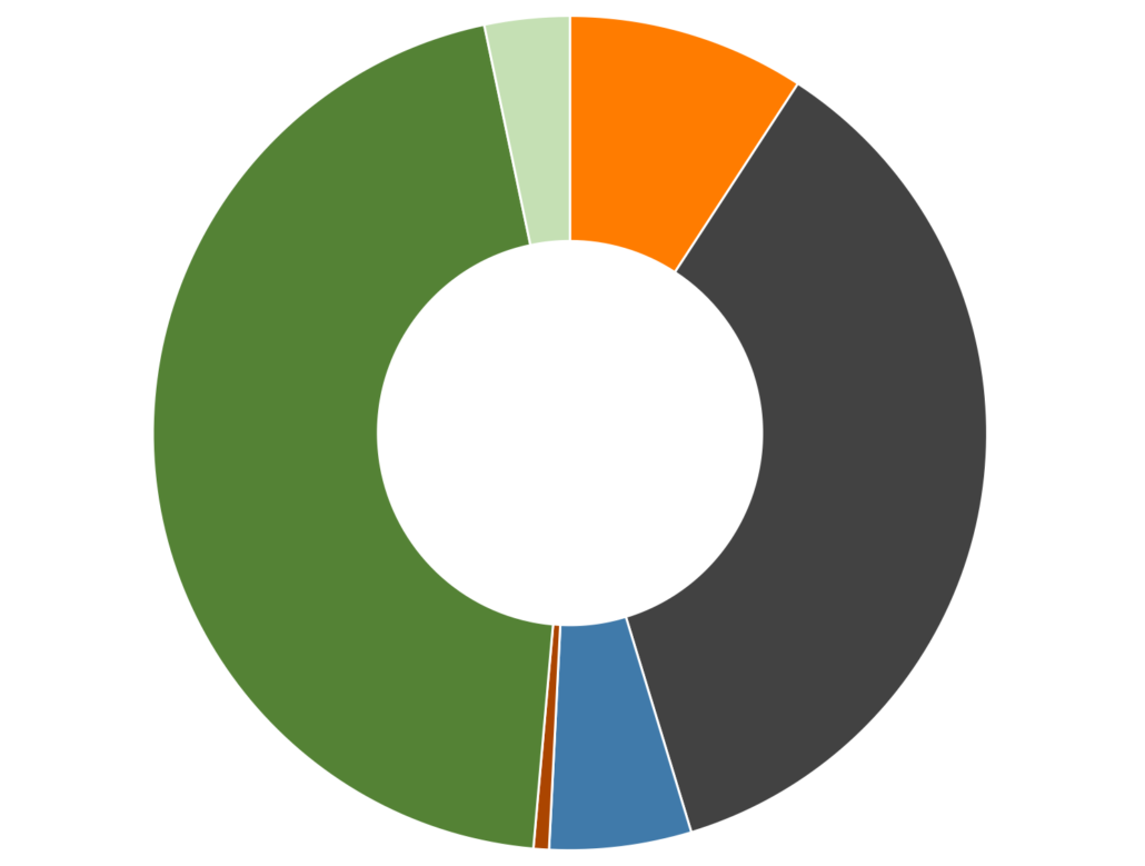 Engergiemix Verbleibend 2016