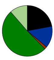 Diagramm Verbleibender Energieträgermix SWKL